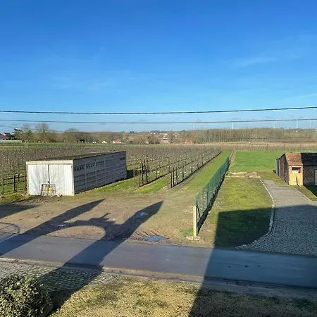 Apartamento Het Damhert *